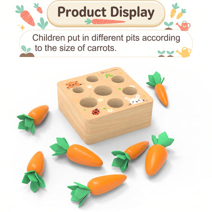 Carrots with soft flannel leaf tops lifting out of the wooden base