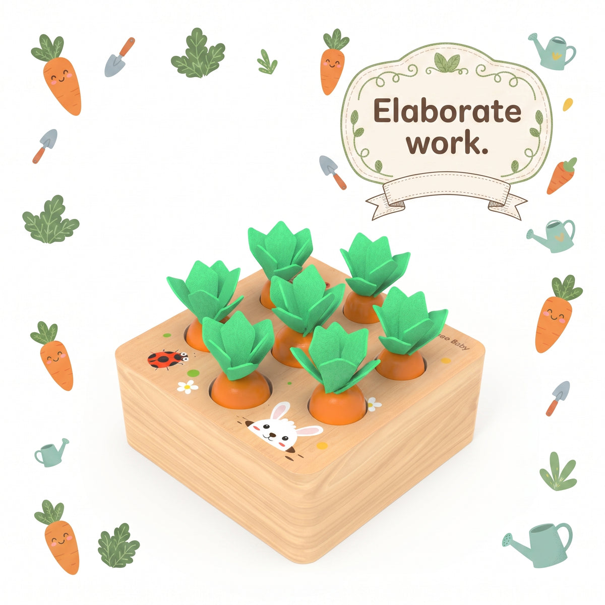 Close view of the carrot set showing the graded carrot sizes